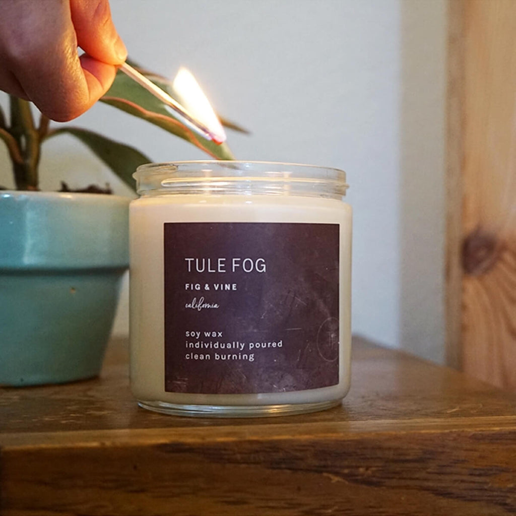Tule Fog Fig + Vine Soy Candle